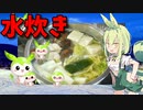 【VOICEVOX ずんだもん】  寒い日には鍋!!   特売の鶏ぶつ切り肉と白菜と長葱と椎茸で「水炊き」を作るのだ!!　