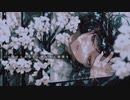 夏時雨 (feat. 音綴)