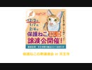 保護ねこの家譲渡会 in 天王寺