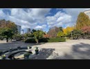宮城県仙台市　紅葉で色づく勾当台公園1　2023　1119
