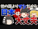 【ゆっくり風刺】日本は未来も大丈夫！？うん、他国の方がヒドイから【ネトウヨ系ゆっくり解説】