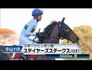 【競馬】2023年 第57回ステイヤーズステークス(GⅡ)【アイアンバローズ / 石橋脩】