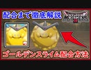DQM3 ゴールデンスライム配合までの流れ！特性やスキルは？配合まで徹底解説！1から作るレアモンスター！ドラクエモンスターズ3 攻略 実況プレイ【メイルス】