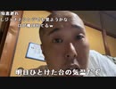 【イノシシ】腹が減ったな！。2023年11月24