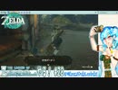 【実況】ゼルダの伝説TotKやる！【28】