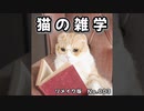 【サクッとぬこ雑学】003│1.猫の飼い主への印象│2.猫のヒゲ│3.猫の聴覚│4.猫の泳ぎ│5.猫の肉球│