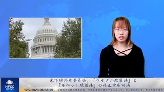 米下院外交委員会、「ウイグル政策法」と「チベット政策法」の修正案を可決