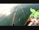 【VOICEROIDフィッシング】楽しいカヤックフィッシング #24 アジ