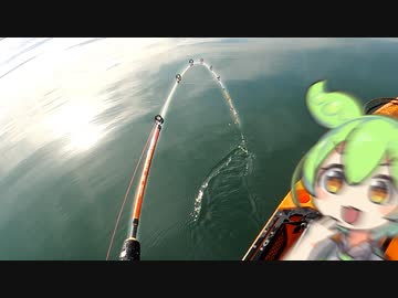 【VOICEROIDフィッシング】楽しいカヤックフィッシング #24 アジ