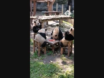 ホモと見るオッサンたちによる談笑