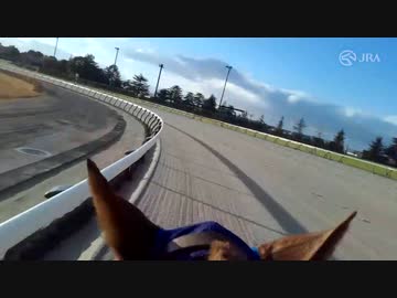 【ジョッキーカメラ】レモンポップ騎乗の坂井瑠星騎手ジョッキーカメラ映像｜2023年チャンピオンズカップ