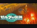 【ゼルダの伝説 】火遊び厳禁part12