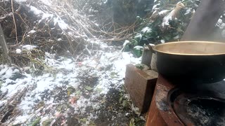 飼っている雌鶏を〆て下処理【閲覧注意】