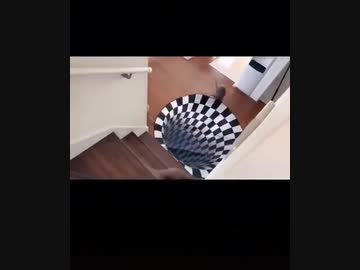 ホモと見る錯視マット