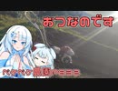 2023年12月3日　農作業日誌P832　午前中はぼんやりしてからのお仕事です