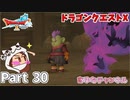 盗賊の心意気【ドラゴンクエストX】Part 30