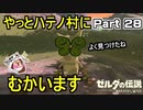 やっとハテノ村に向かいます！【ゼルダの伝説 ブレス オブ ザ ワイルド】PART 28