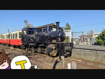 やっつけたぬき旅行記　千葉編