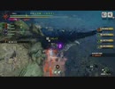 MHR_part101_傀異討究：リオレイアLv109