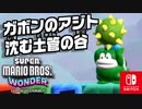 ガボンがたくさんトゲトゲをなげちゃう！？トゲトゲにきをつけてゴールをめざそう！（ドカンロック平原 編）part24【スーパーマリオブラザーズ ワンダー】