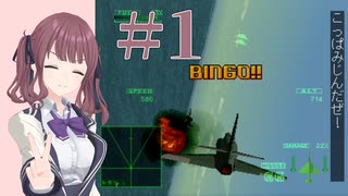 【エースコンバット2】 難易度ハードでクリアを目指す #1 【花梨・六花実況】
