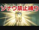 ゾナウ禁止縛りpart5【ティアキン/制限プレイ/ゼルダの伝説ティアーズオブザキングダム】
