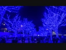 青の洞窟2023＆クリスマスマーケット代々木公園