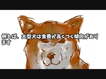 犬の食費