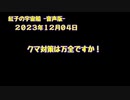 紅子の宇宙船 －音声版－ 2023年12月04日