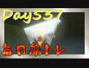 【毎日投稿】ムキ・ムキ・ムキへの道！！！【RFA負荷23】#537