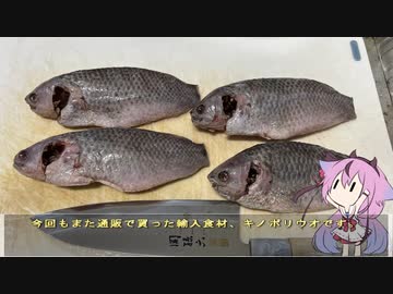 珍食材が食べたい！#167 キノボリウオをどうにかしたかった