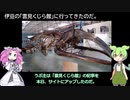 鯨の骨格標本は凄くカッコいいのだ！