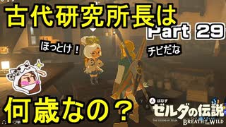 謎のくさよしさん！【ゼルダの伝説 ブレス オブ ザ ワイルド】PART 29