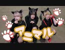 【ぽあみ】アニマル【踊ってみた】