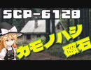 【SCPゆっくり解説】連鎖する異常性　SCP-6128 - カモノハシ磁石