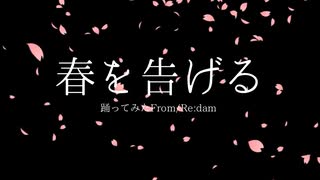 【Re:dam】春を告げる【オリジナル】【踊ってみた】