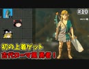 【ゆっくり実況】5度目のゼルダ！ 初めてのティアーズオブザキングダム！ part10 【ティアーズオブザキングダム】