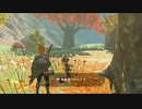 ゼルダの伝説　ブレス オブ ザ ワイルド　実況プレイPart117