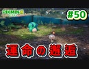 【ピクミン4】投げて！運んで！戦って！新人隊員奮闘記_Part50【実況】