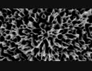 String Cell Noise.ffx