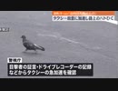 ホモと見るハトを轢き殺して逮捕されちゃった男