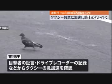 ホモと見るハトを轢き殺して逮捕されちゃった男