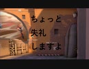 ちまちまやってます
