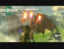 急に凄いのが来るじゃんね！！【ゼルダの伝説 ティアーズ オブ ザ キングダム / ゲーム実況】part14の2/3