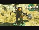 レバーで遊ぶ百歳越えの英傑【ゼルダの伝説 ティアーズ オブ ザ キングダム / ゲーム実況】part14の3/3