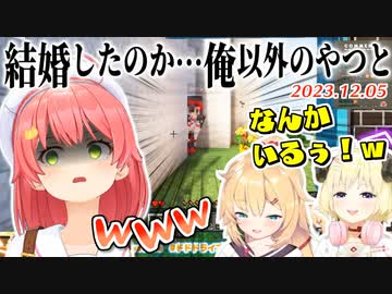 【マイクラ】はあわたにみこちが挟まり血が流れてしまう新婚旅行