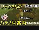 ソテツさんのハテノ村案内！【ゼルダの伝説 ブレス オブ ザ ワイルド】PART 30