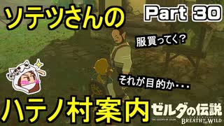 ソテツさんのハテノ村案内！【ゼルダの伝説 ブレス オブ ザ ワイルド】PART 30