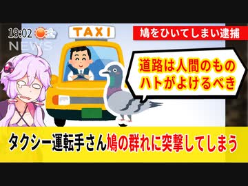 鳩をひいて逮捕のタクシー運転手→道路は人間のもの、鳩が避けるべき
