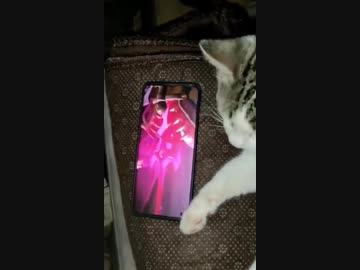 ホモと見る勝利の女神NEKO